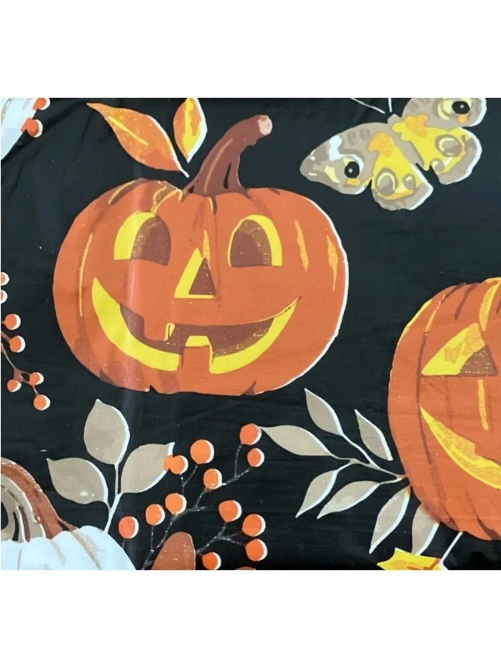 N/A pumpkins leaf